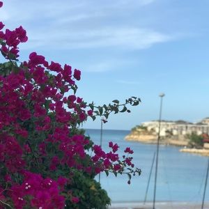 Meet your Posher, Berlyncia